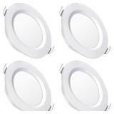 BlueFire 4 Pack LED RV Ceiling Lights