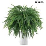 12Pcs 24Inch Norfolk Pine Stems Real Touch