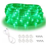 Green Rope Lights 16FT