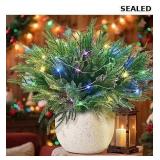 Norfolk Pine Stems, 16 Pcs