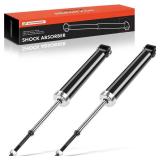 Rear Shock Struts Set of 2
