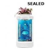 Small Fish Tank 1.2 Gallon Aquarium Starter Kit
