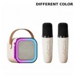 Microphone and Speaker System