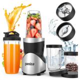 Ganiza Smoothie Blender