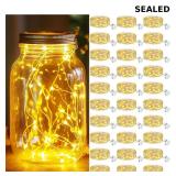 30 pack of LED fairy lights