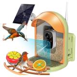 Smart Bird Feeder with 2K Camera