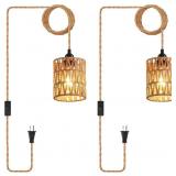 Plug in Pendant Light