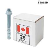 5/8' x 6' Plated Wedge Anchors Concrete Fasteners