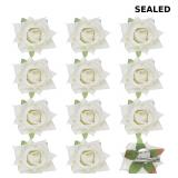 M METERXITY 12-Pack Rose Hair Clips