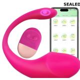 App Bullet Vibrator Vibrating Egg Remote Control