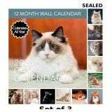 3x 2026 Cat Wall Calendar | Large 12' x 24'