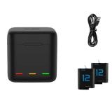 TELESIN Portable Charging Case Kit w/ 2 Batteries