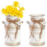 Hacaroa 2 Pack Galvanized Vase