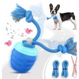 Interactive Dog Toy