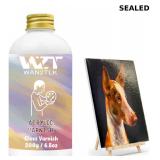 Acrylic Varnish, Professional Gloss Varnish