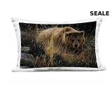 Stupell Industries Crossing Paths Grizzly Bear