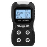 Portable Gas Detector