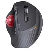 ProtoArc Wireless Trackball Mouse