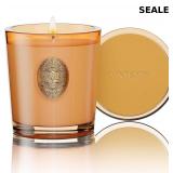 M&SENSE Natural Soy Candle | Pumpkin Apple Pie