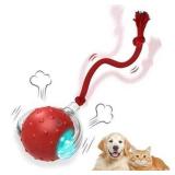 Pet Interactive Ball Toy
