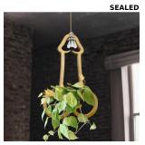 Funny Flower Pots Plant Hanger, Mr. Morningwood,