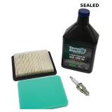 Stens 785-606 Engine Maintenance Kit, Black