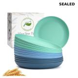 12PCS Unbreakable Dinner Plates