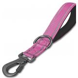 SAEGYPET 12' Dog Leash, Pink