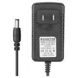 25.2V Lithium Battery Charger
