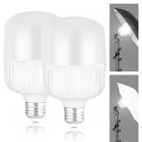 NEEWER E26 35W LED Bulbs, 2-Pack