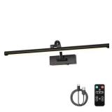 Dimmable Black Picture Lights