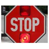 STOP - READ BEFORE BIDDING ON LOT 300
