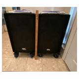 NEW SA PROFESSIONAL 2 WAY LOUDSPEAKERS