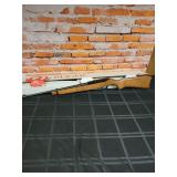 Ruger 10/22 .22 cal. semi-auto rifle