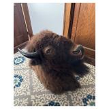 Vintage Taxidermy Buffalo Mount, pickup will be in Carthage, IL not Payson Facility