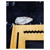 3 in. Artifact, Pike County Surface Find