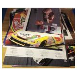 Nascar Posters