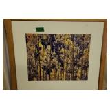 Pencil Signed Tree Photograph 36x31' Peninsula