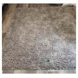 Gray Shag Area Rug 61x86'. Second Floor
