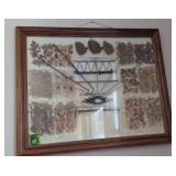 Framed Dried Flowers, Leaves Showing Different