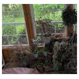 Metal Plant Stand, Faux Ficus Tree, Lifehouse