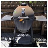 Chargriller Acorn Professional Egg Grill. Outside
