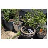 Planters, Vinyl Planters, Shepherd Hook Etc.