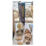 Galileo Thermometer, Seashells, Petrified Wood,