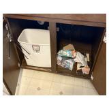 trash can , trash bags, and tissues   kitchen