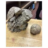 Turtle on a log Garden Decor and Ladybug Resin