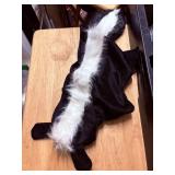 dog costume small skunk  halloween