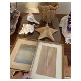 2 conch shells, starfish, 2 framed prints, large