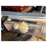 adjustable drapery rod with seashell theme, 1