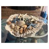 large seashell 19' x 6' filled with seashells,